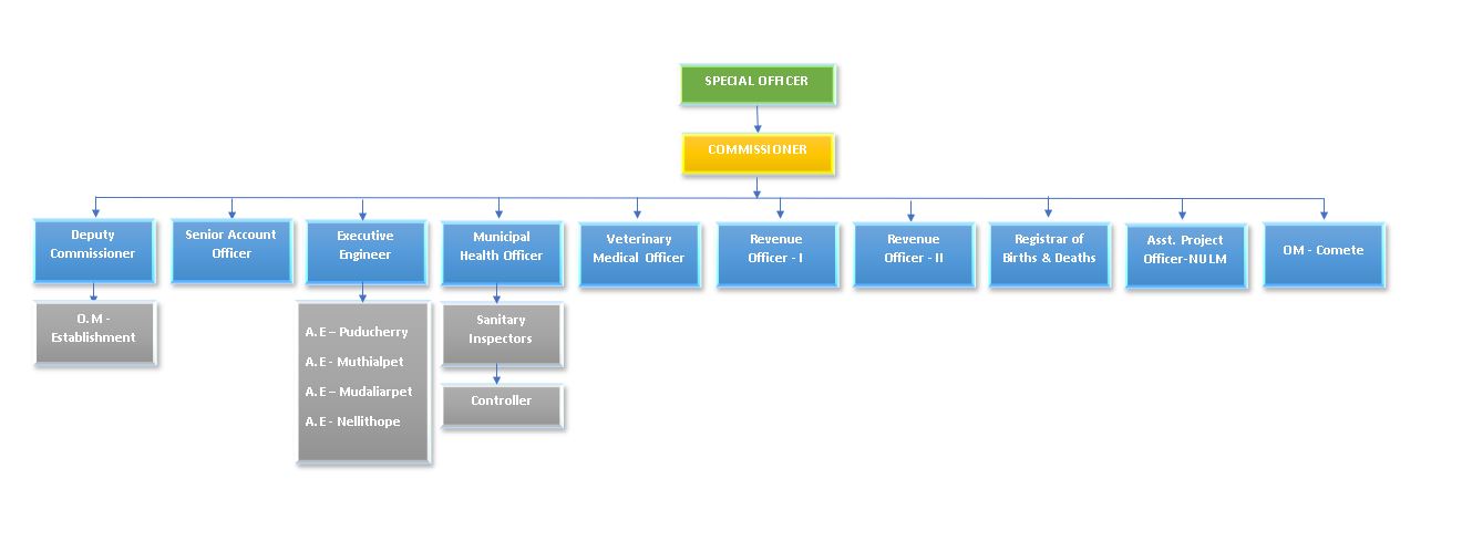 Organization Chart